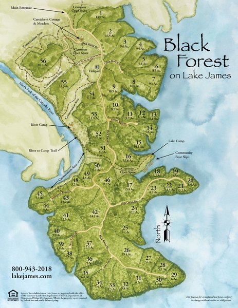 Black Forest Lake Community Development Map