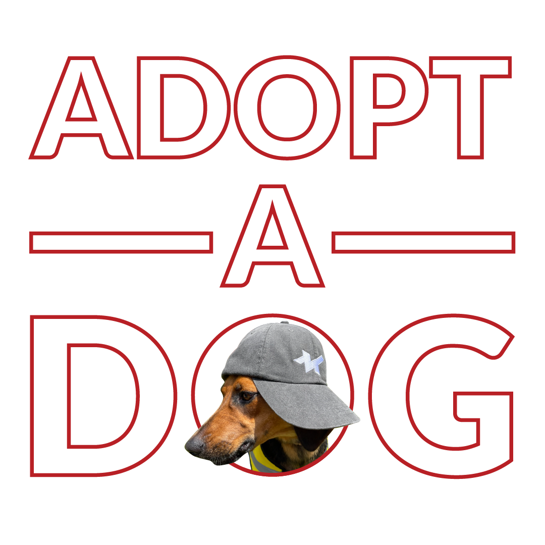 Adopt-A-Dog